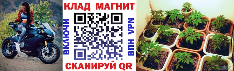 Купить наркотики сайты Бутурлиновка АМФЕТАМИН  Меф мяу мяу  ГАШИШ 