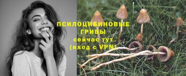 spice Верхний Тагил