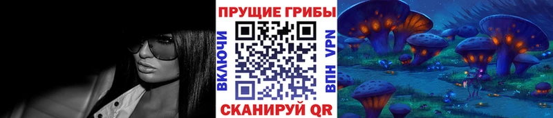 где можно купить   Бутурлиновка  Псилоцибиновые грибы Cubensis 